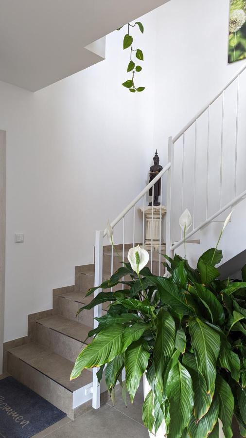Gaestehaus Freystadt المظهر الخارجي الصورة